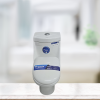 Frencia One Body Toilet