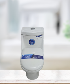 Frencia One Body Toilet