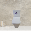 VSTAR Close Couple Toilet