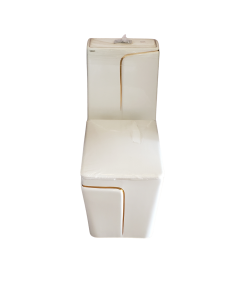 0T211 One Piece Toilet (White)