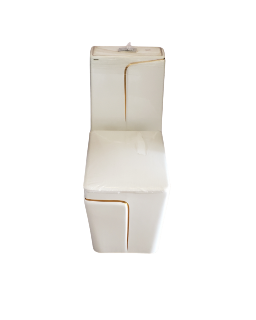 0T211 One Piece Toilet (White)