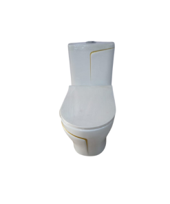 0T211 One Piece Toilet (White)