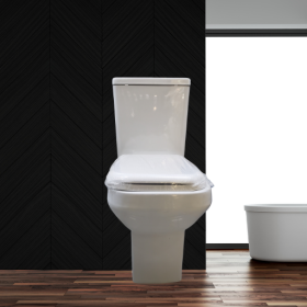 One Piece Toilet